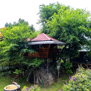 Treehouse Tabor Hills Vagamon